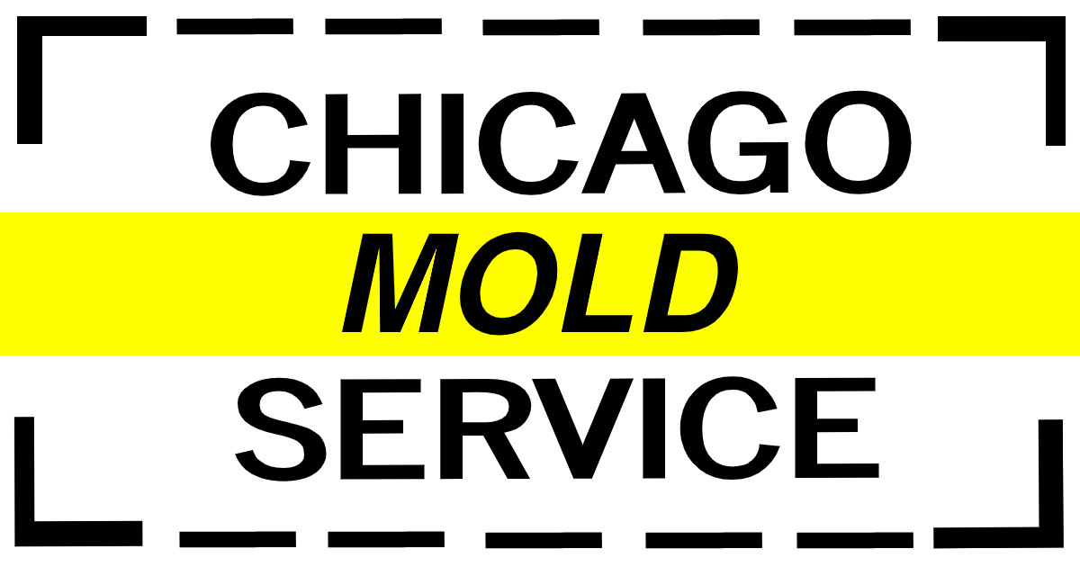 Chicago Mold Service