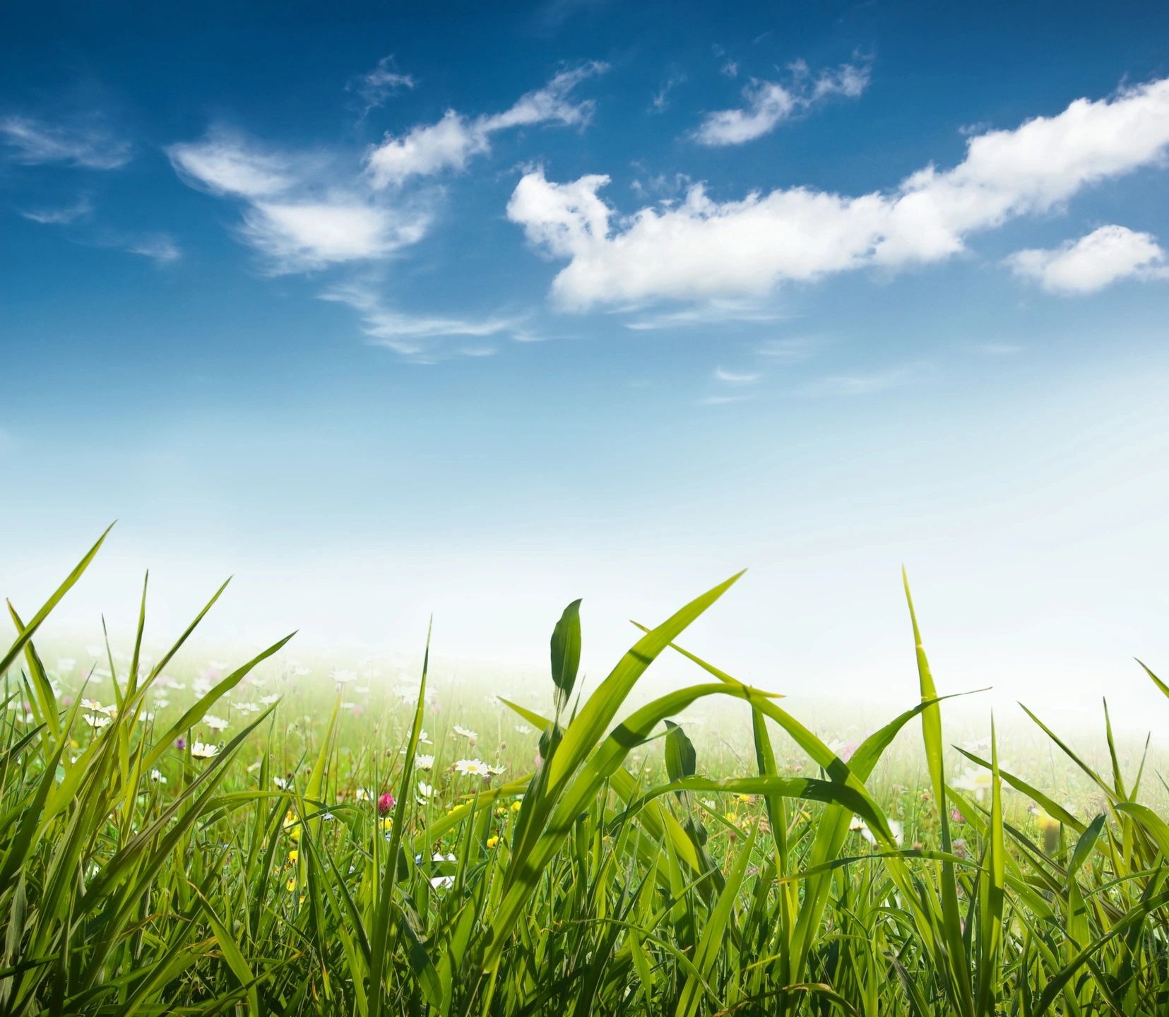 Wycoff Environmental LLC